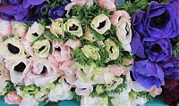 April showers, April flowers: a flower stand at the Bastille open market April in Paris flowers 3